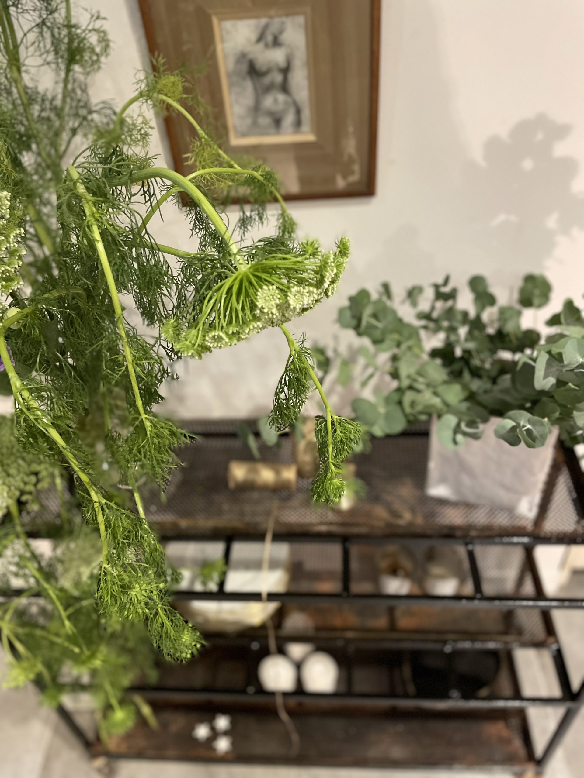 Meuble de métier (ancien présentoir de fleuriste) – Image 2